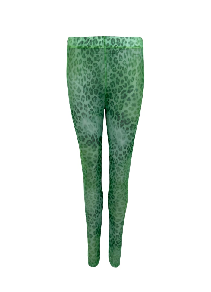 2227 florence mesh legging green leo